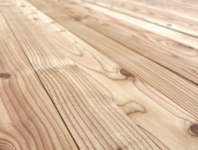 Larch 18 x 42mm PAR