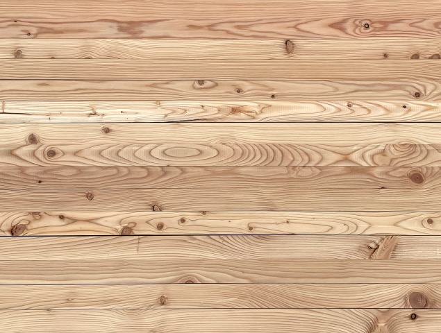 Larch 18 x 42mm PAR