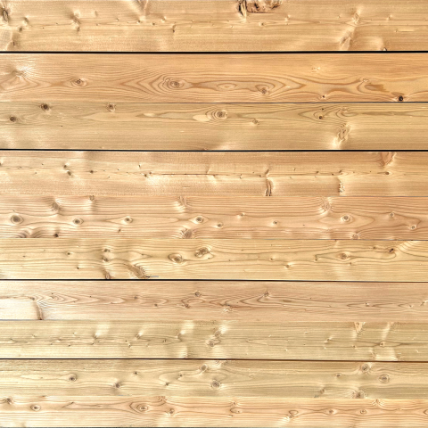 Larch 18 x 94mm PAR