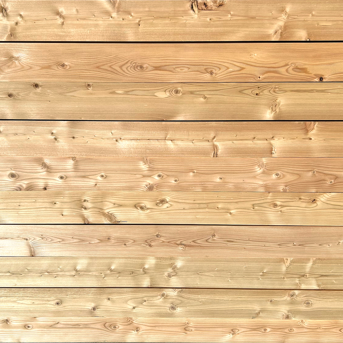 Larch 18 x 94mm PAR
