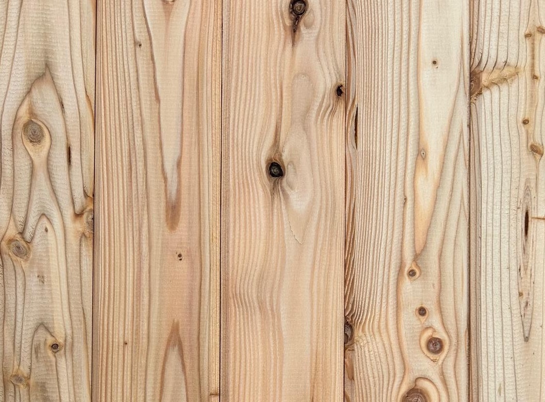 Larch 20 x 95mm T.G.V. Cladding ST0.L 